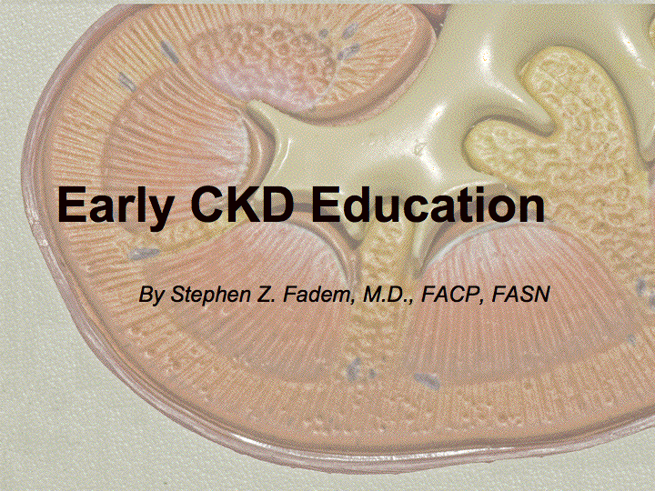 NKF Update 2007 preview