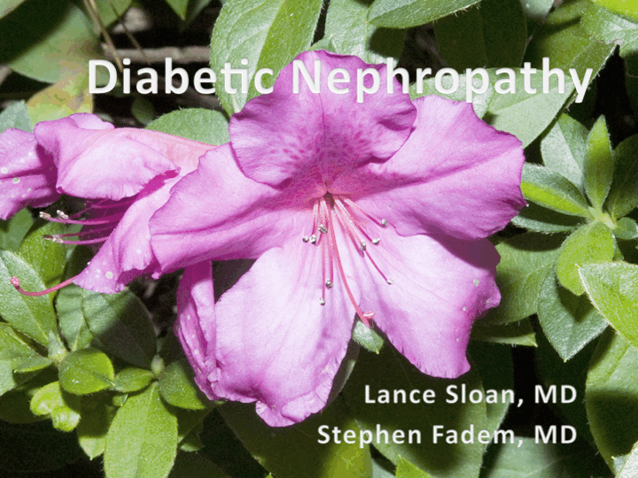 Diabetic Nephropathy preview