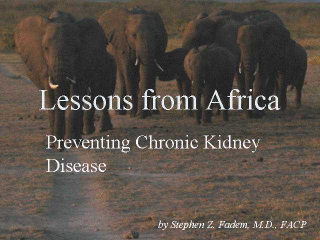 Lessons from Africa preview